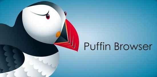 puffin apk pro puffin apk pro